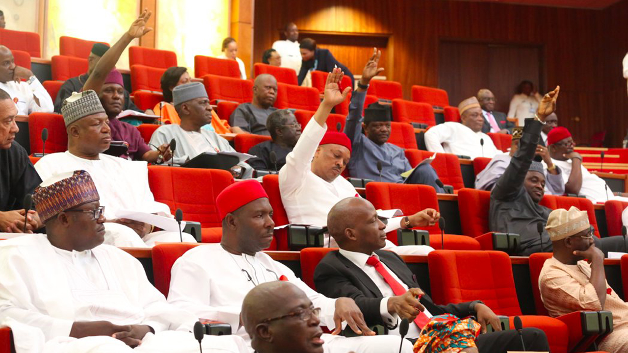 N’assembly Passes Bill Empowering States To Generate Electricity