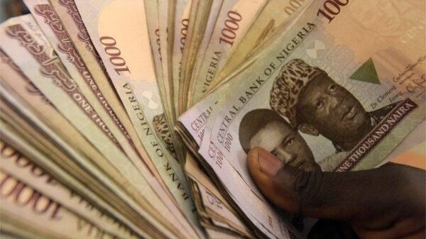 Naira Maintains Stability Across FX Markets Despite Fear Of Devaluation