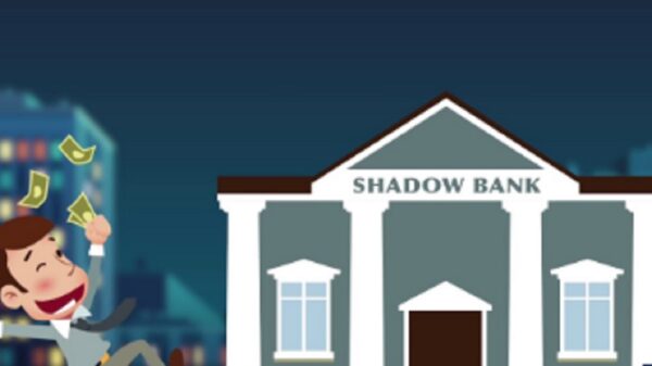 Understanding China's Shadow Banks And Their Economic Impact
